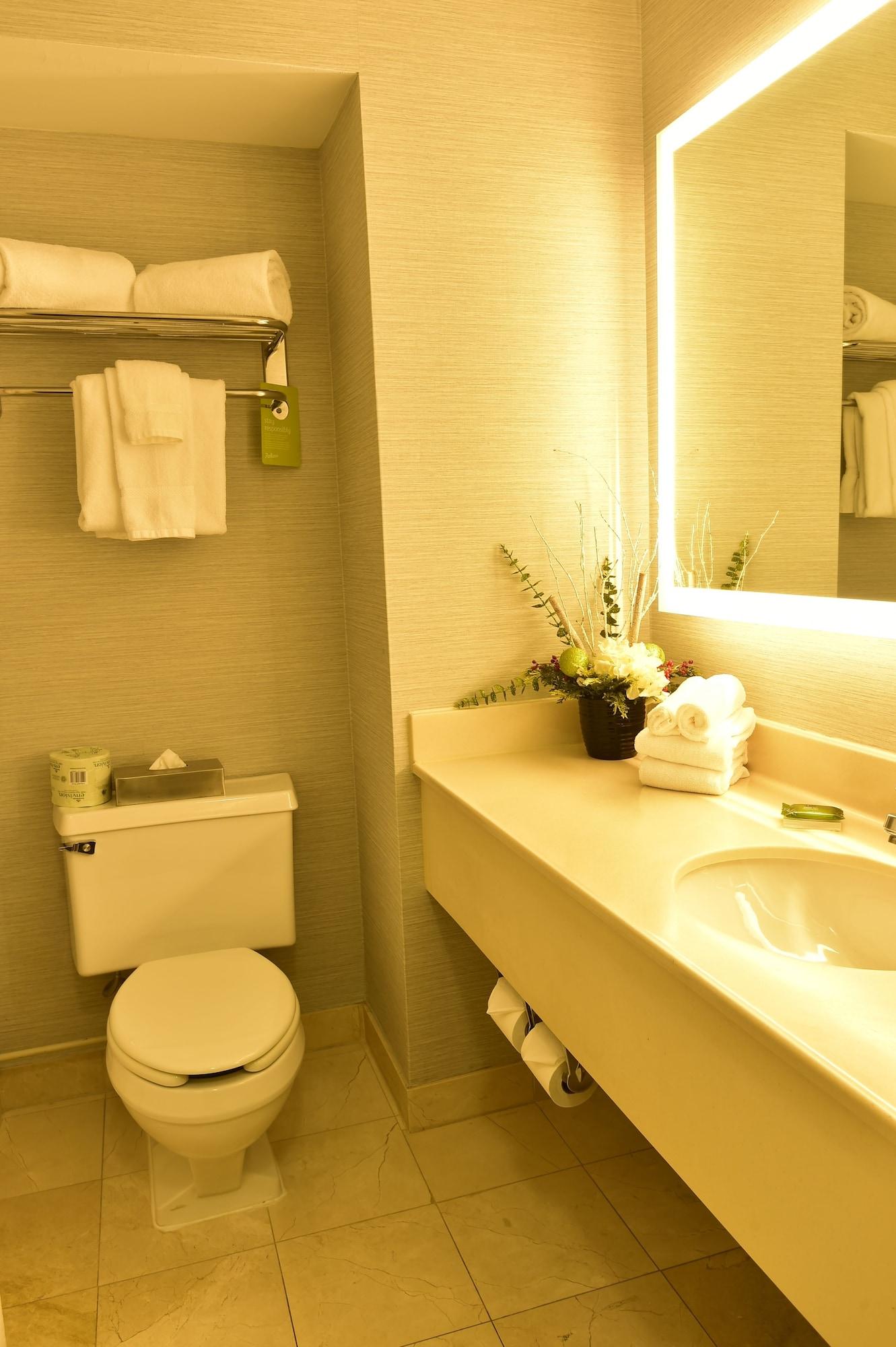 Radisson Niagara Falls-grand Island 3*