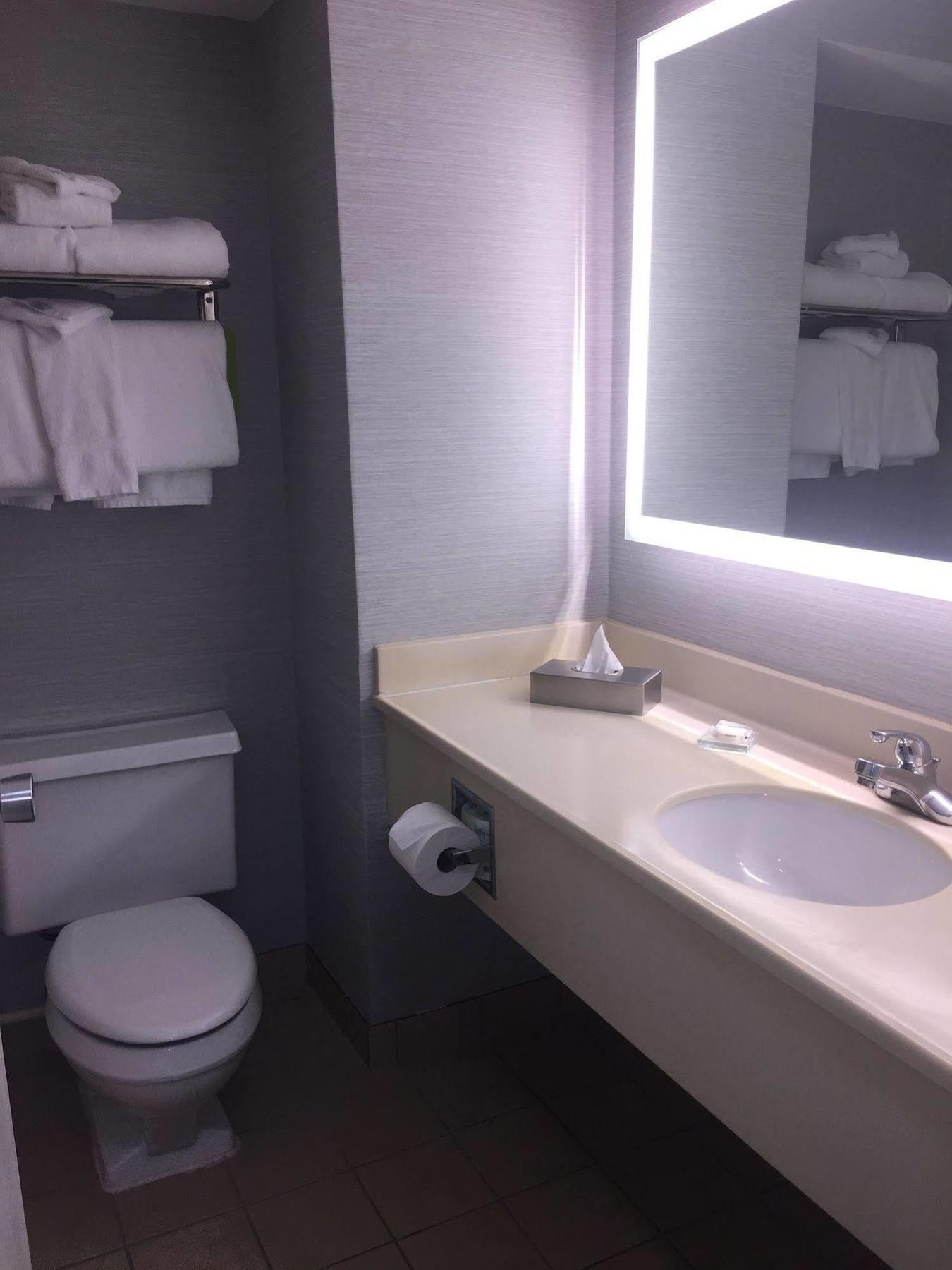 Hotel Radisson Niagara Falls-grand Island Grand Island