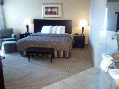 Radisson Niagara Falls-grand Island Hotel 3*