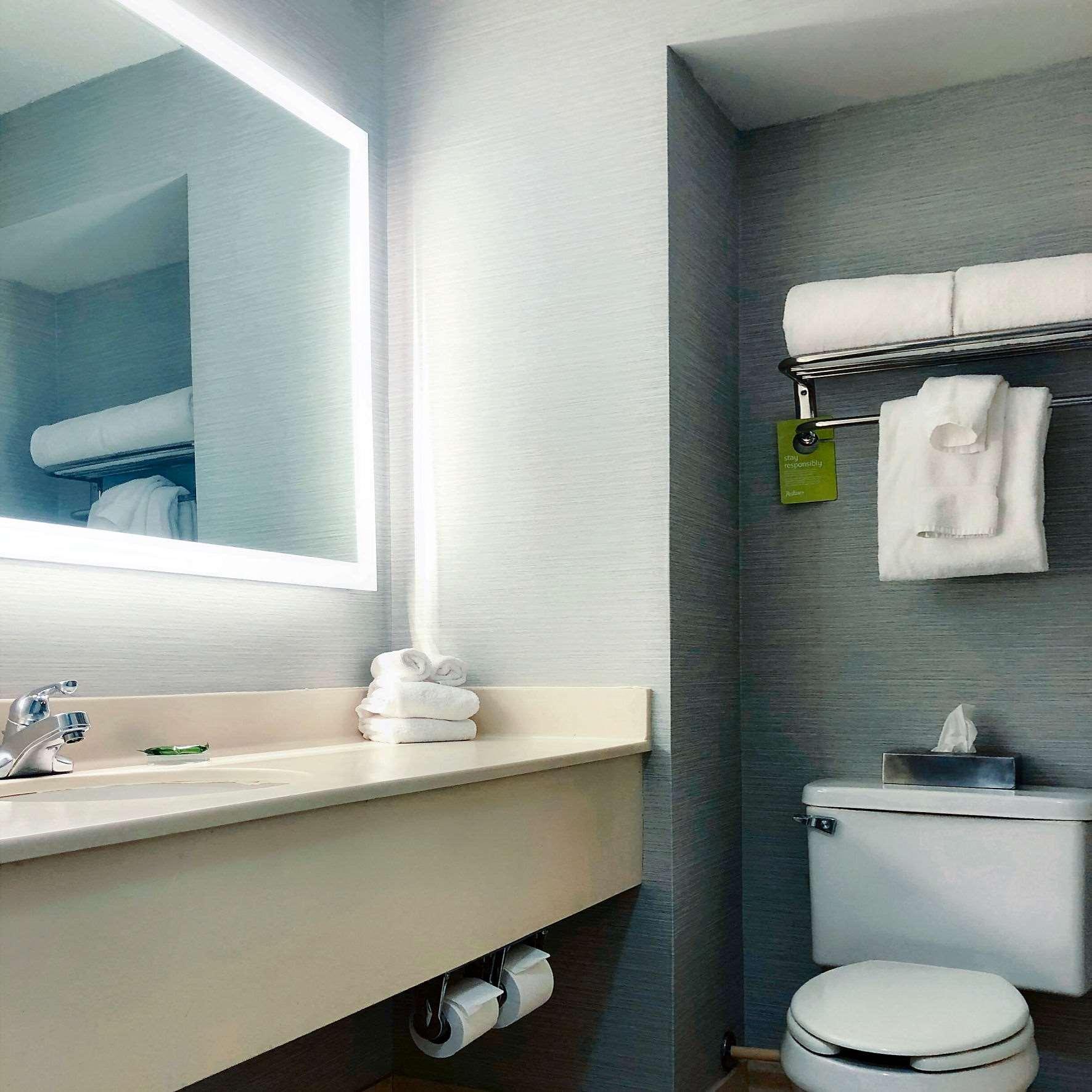 Hotel Radisson Niagara Falls-grand Island Grand Island